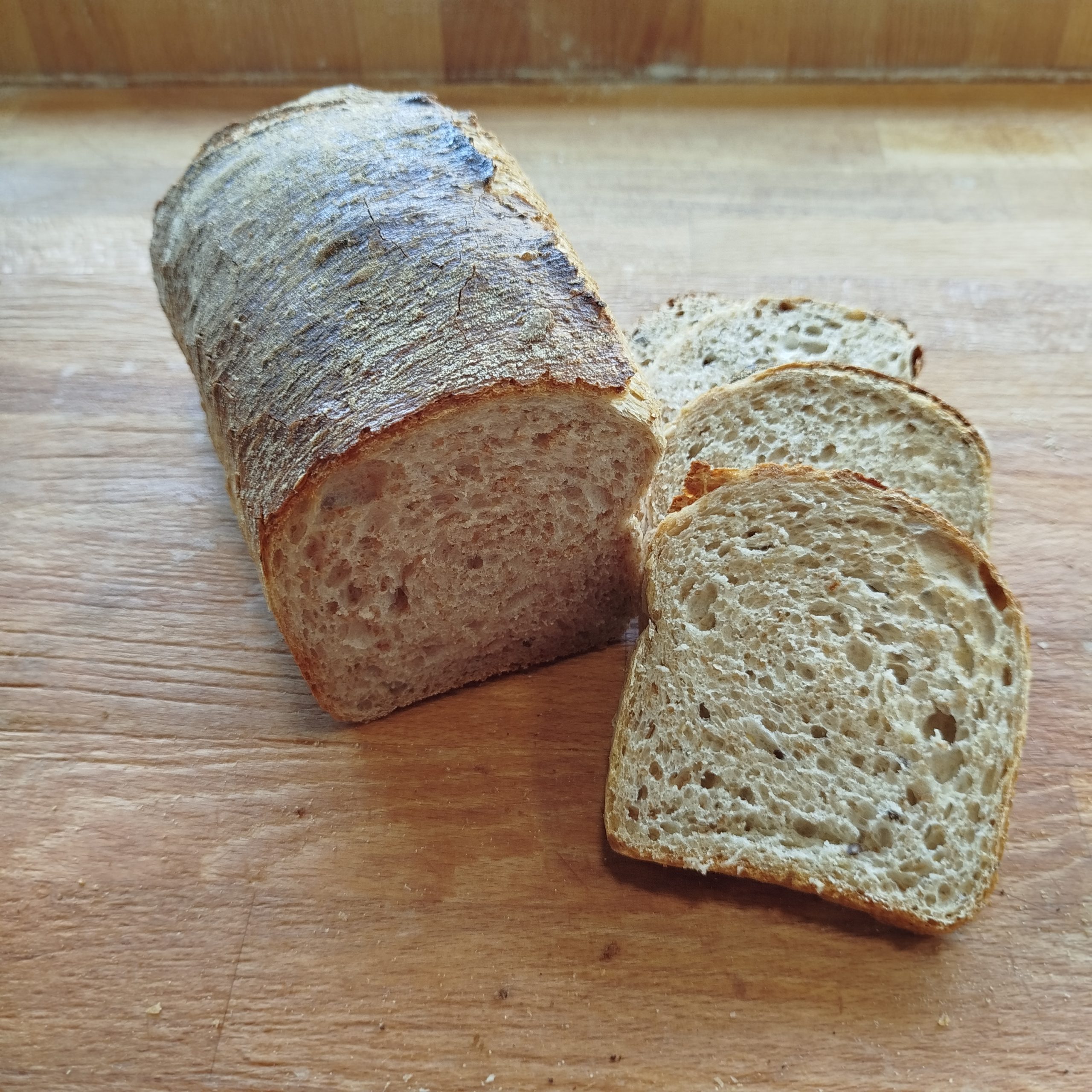 PAN DE MOLDE INTEGRAL